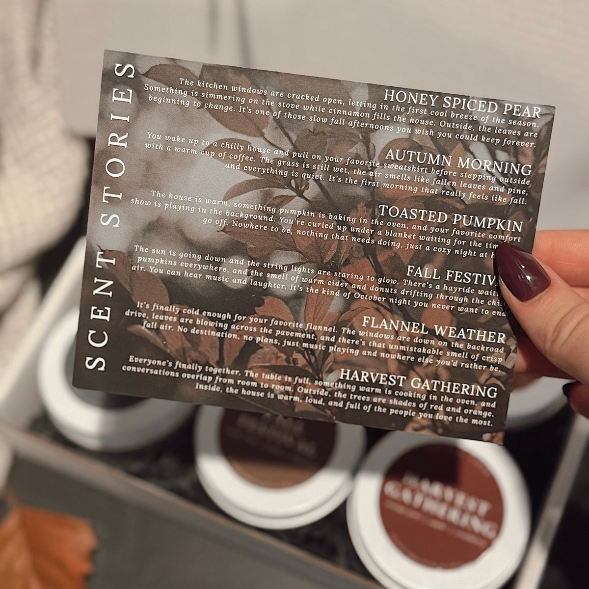 2026 Fall Discovery Box | 6 x 2 oz Soy Candles