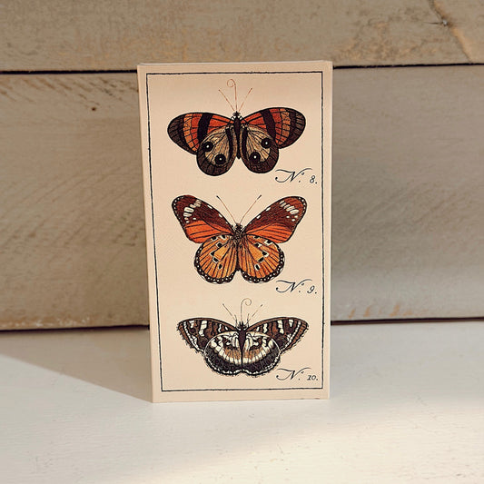 Butterfly | Vintage Matchbox